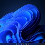 Windows 11