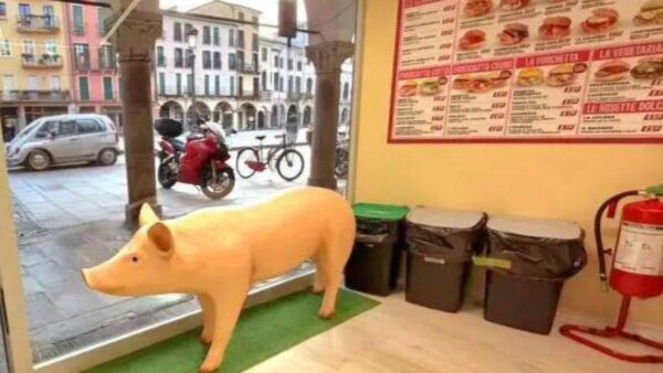 A plastic pig displayed in the window of a delicatessen in Padua, Italy.