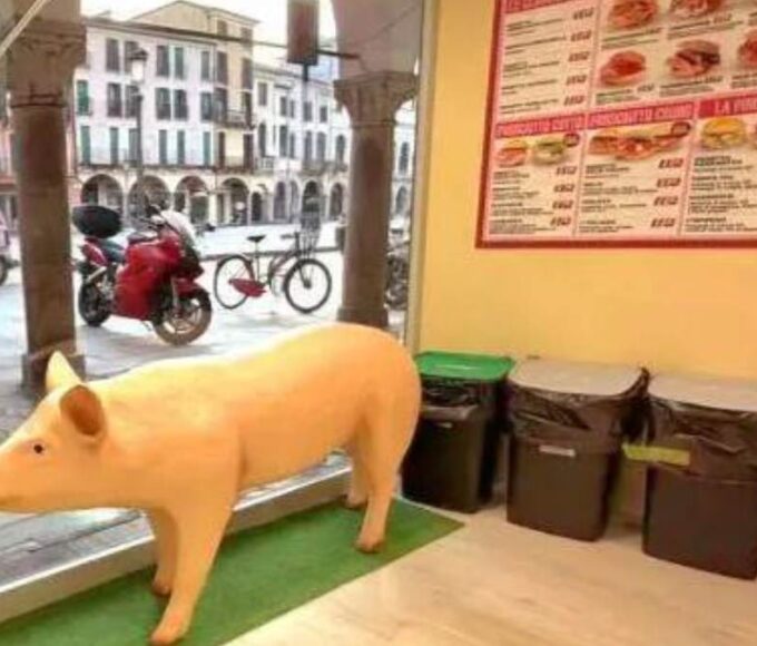 A plastic pig displayed in the window of a delicatessen in Padua, Italy.