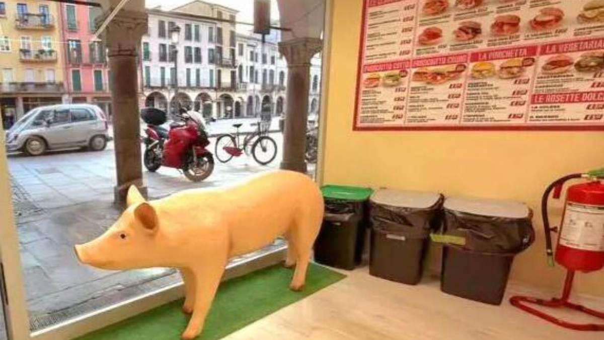A plastic pig displayed in the window of a delicatessen in Padua, Italy.