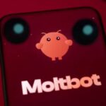 Moltbot