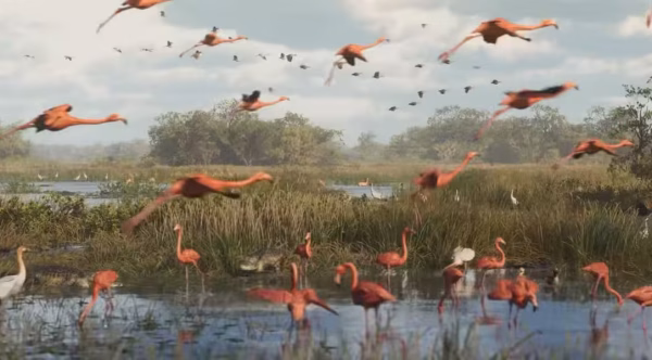 GTA 6 Swamp and Birds