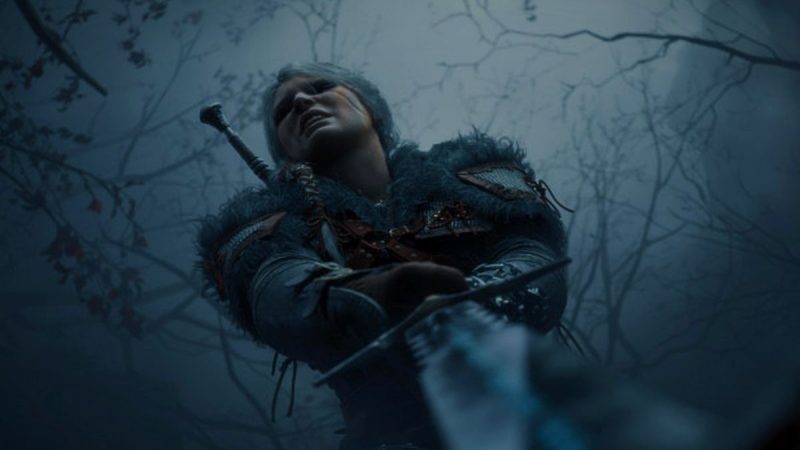 The Witcher